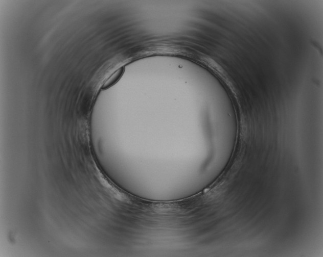 X0000103231433200809111520