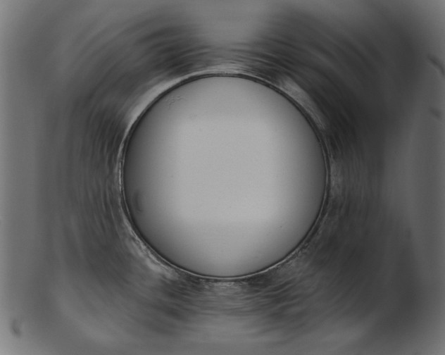 X0000103231436200809111520