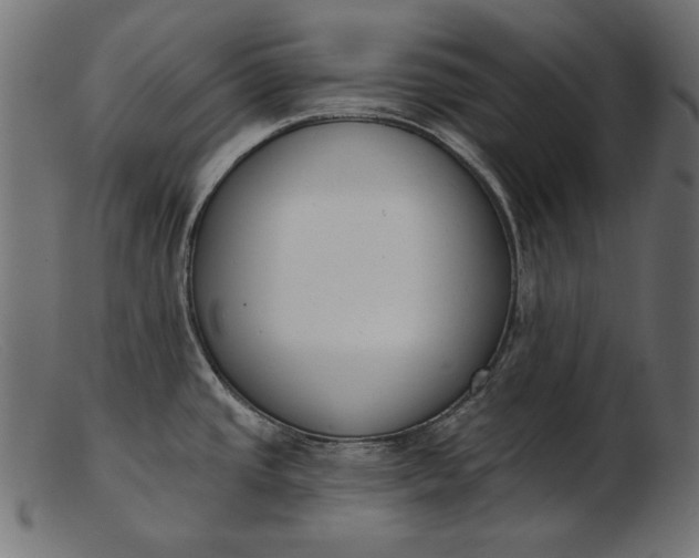 X0000103231437200809111520