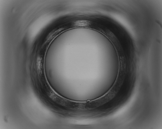 X0000103231438200809111520