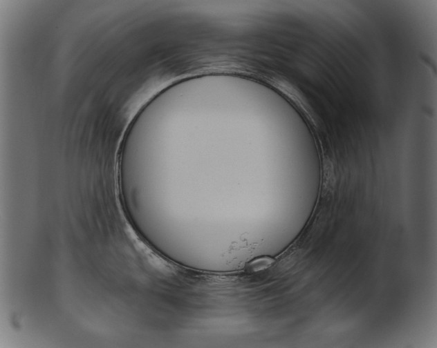 X0000103231439200809111520