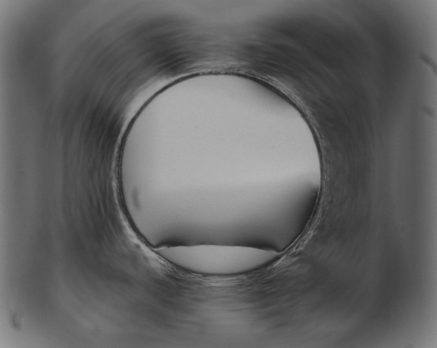 X0000103231440200809111520