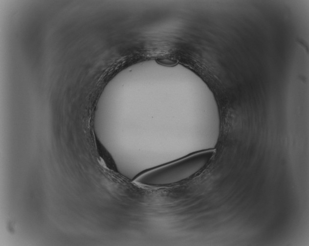 X0000103231441200809111519