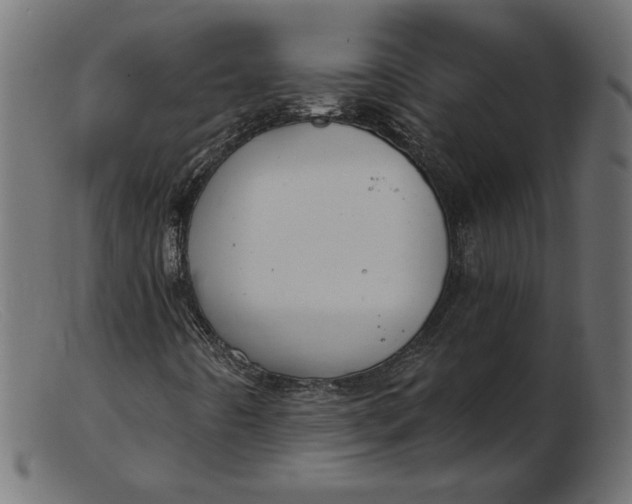 X0000103231442200809111519