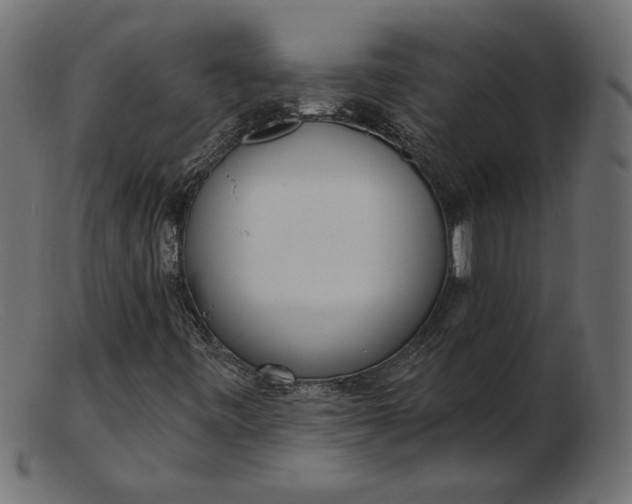 X0000103231443200809111519