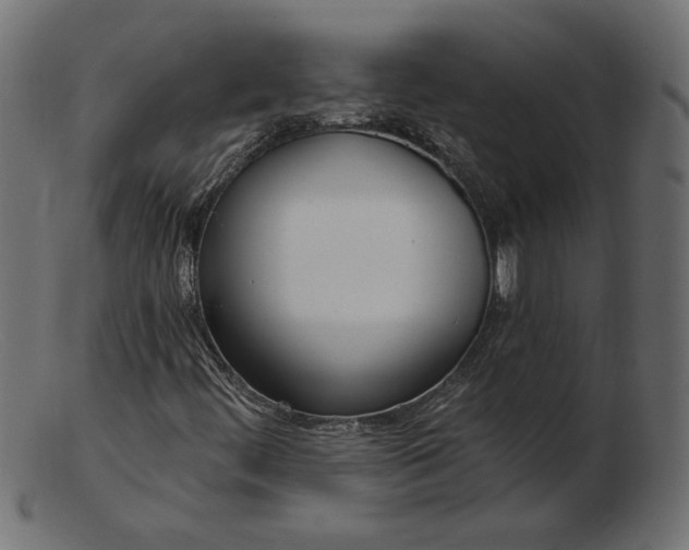 X0000103231444200809111519