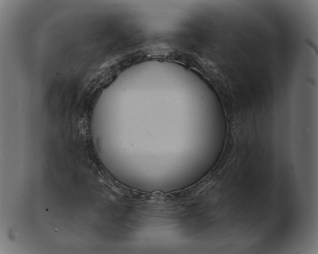 X0000103231445200809111519