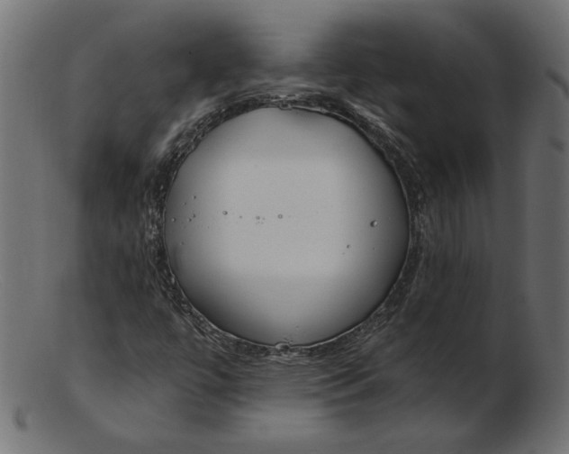 X0000103231447200809111519