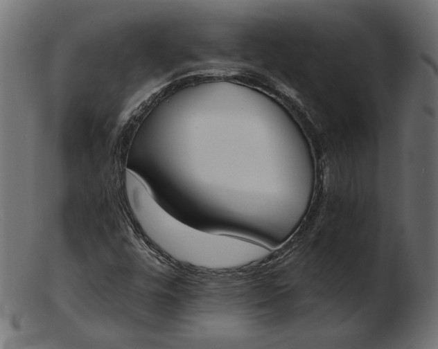 X0000103231448200809111519