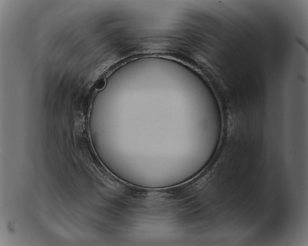 X0000103231449200809111519