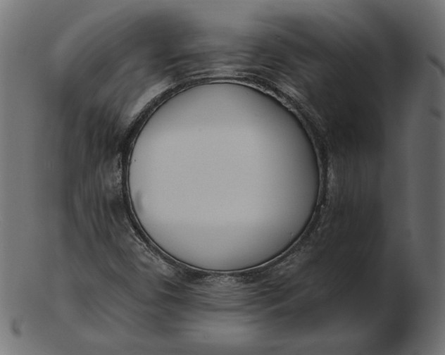 X0000103231450200809111519