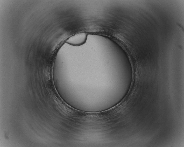 X0000103231451200809111519