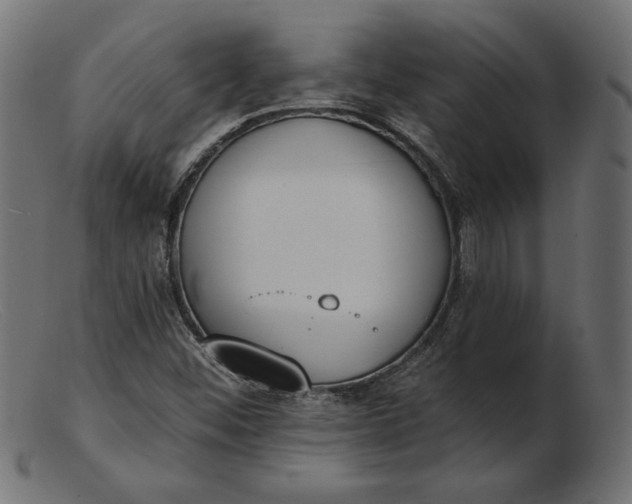 X0000103231452200809111519