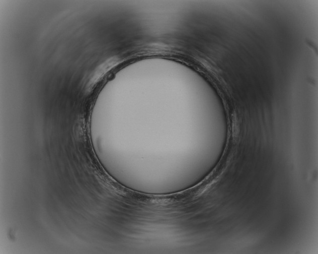 X0000103231453200809111519
