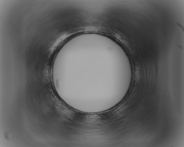 X0000103231454200809111519
