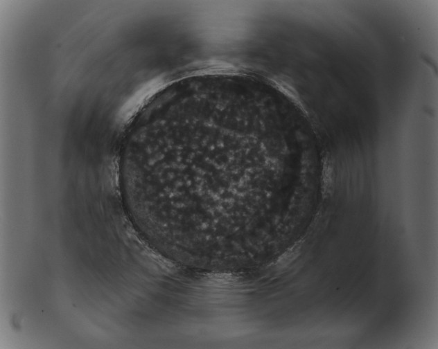 X0000103231455200809111519