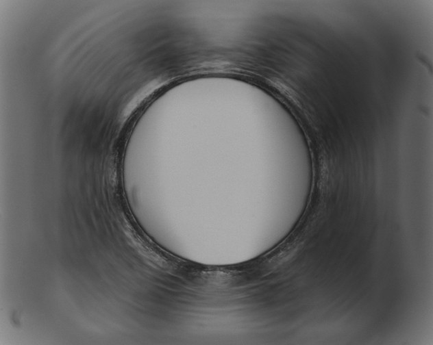 X0000103231458200809111519