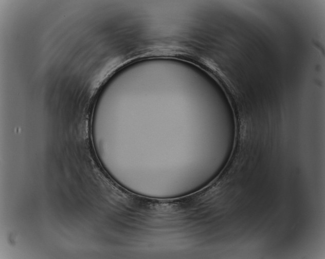 X0000103231459200809111519