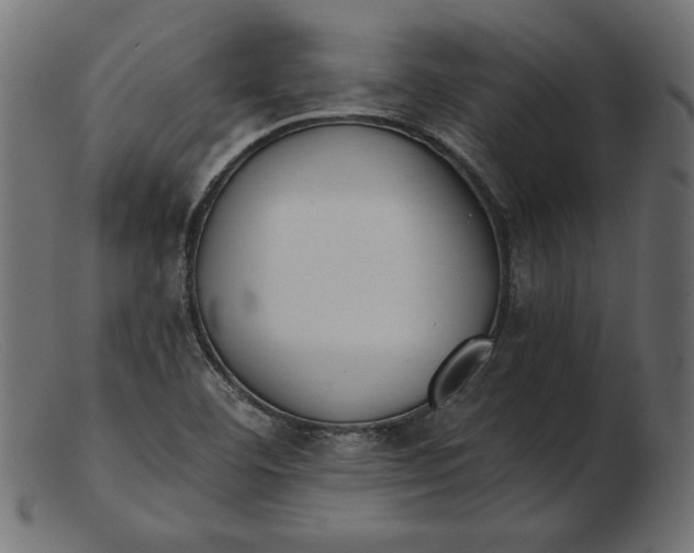 X0000103231460200809111519
