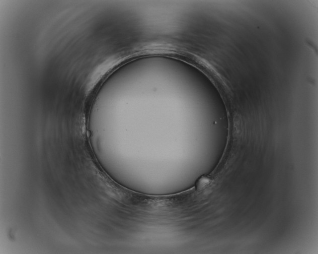 X0000103231461200809111519