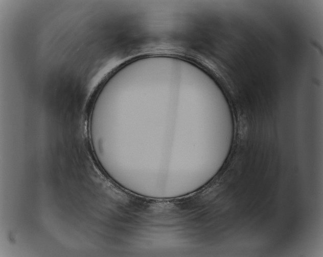X0000103231462200809111519