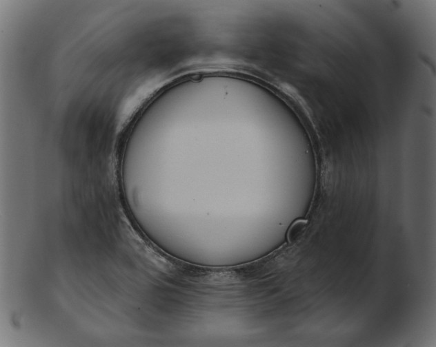 X0000103231464200809111519