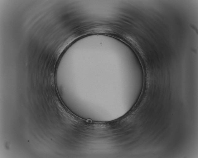 X0000103231465200809111519