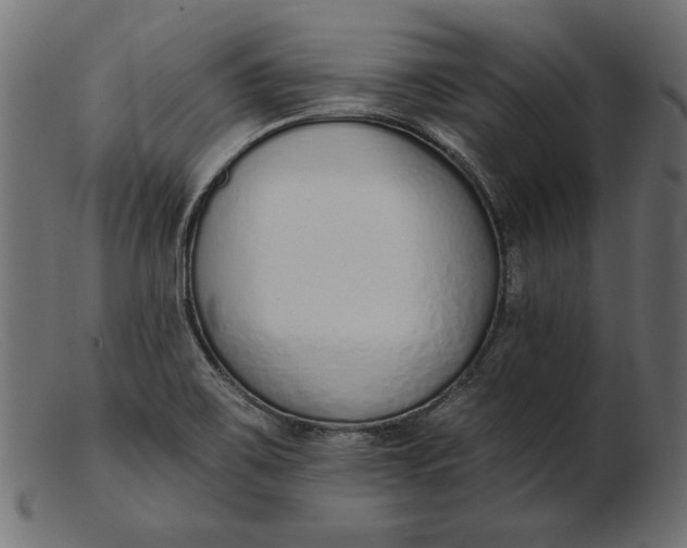 X0000103231467200809111519