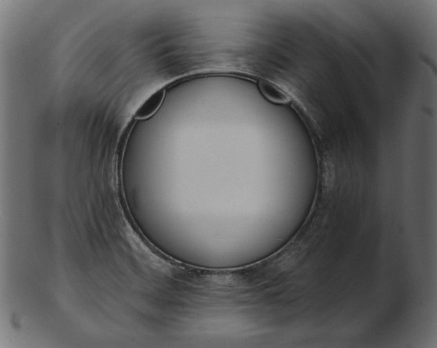 X0000103231468200809111519