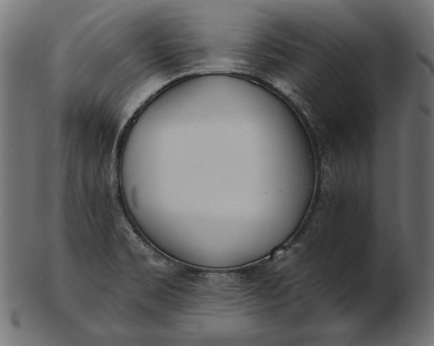 X0000103231469200809111519