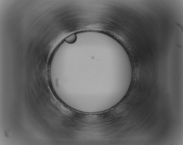X0000103231470200809111519