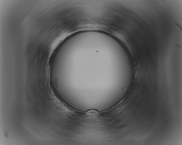 X0000103231472200809111519