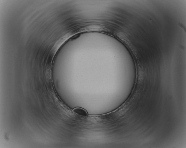 X0000103231473200809111519