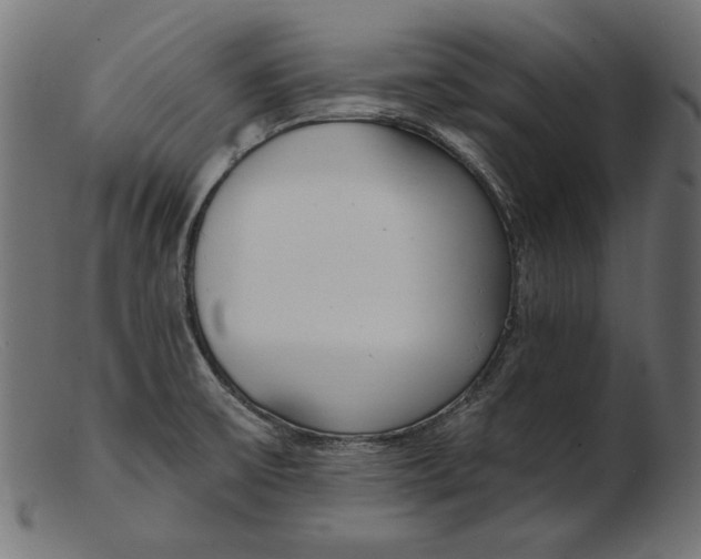 X0000103231475200809111519