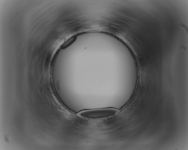 X0000103231477200809111519