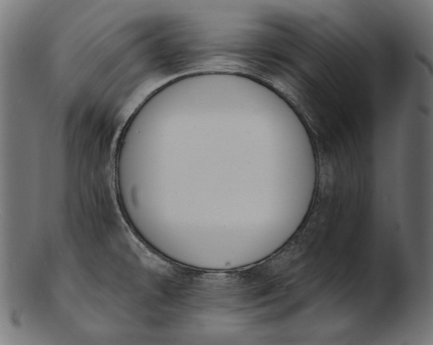 X0000103231478200809111519