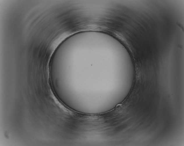 X0000103231479200809111519