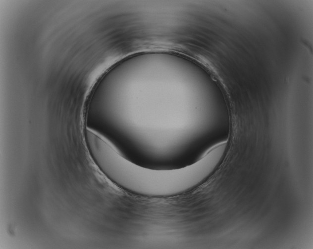 X0000103231480200809111519