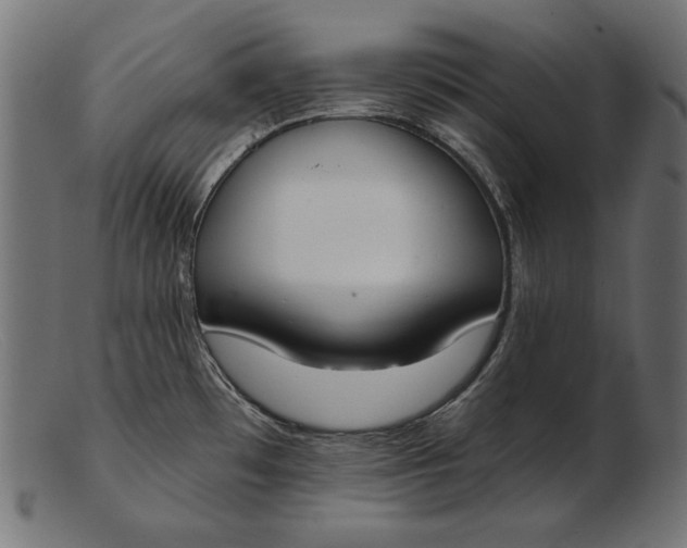 X0000103231481200809111519