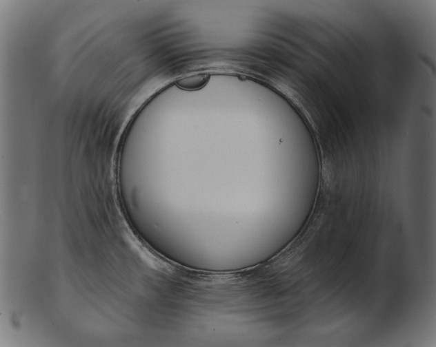 X0000103231482200809111519