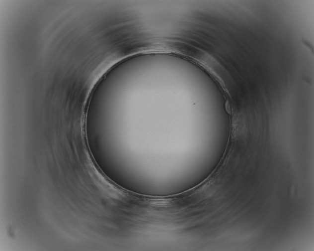 X0000103231484200809111519
