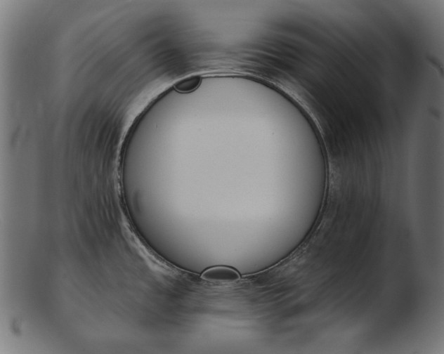 X0000103231485200809111519