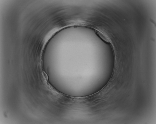 X0000103231488200809111519