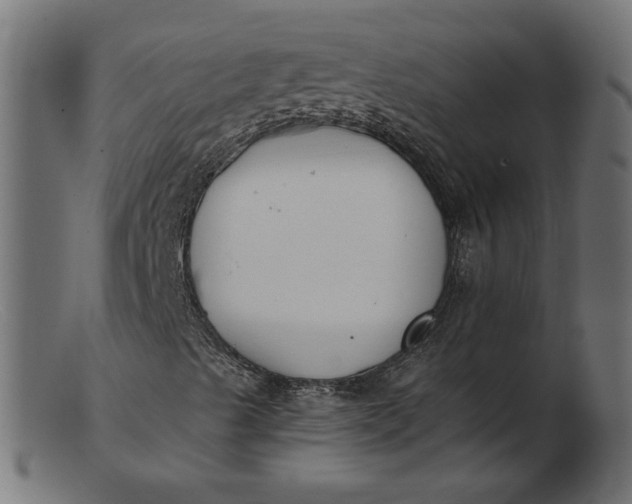 X0000103231489200809111518