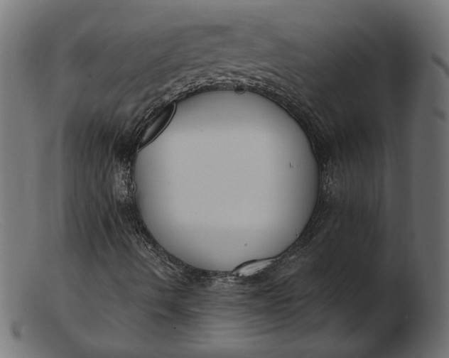 X0000103231490200809111518