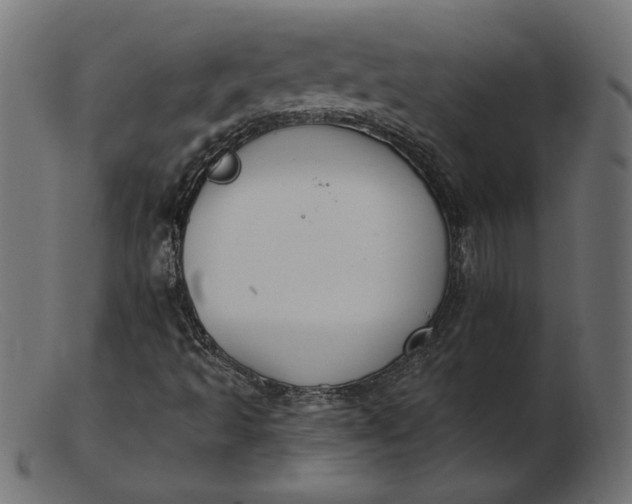 X0000103231493200809111518