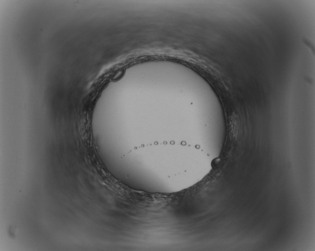X0000103231494200809111518