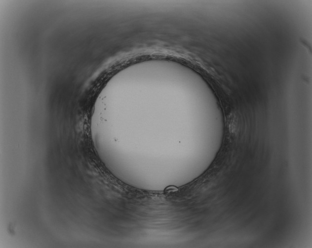 X0000103231495200809111518