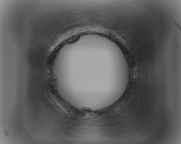 X0000103231496200809111518