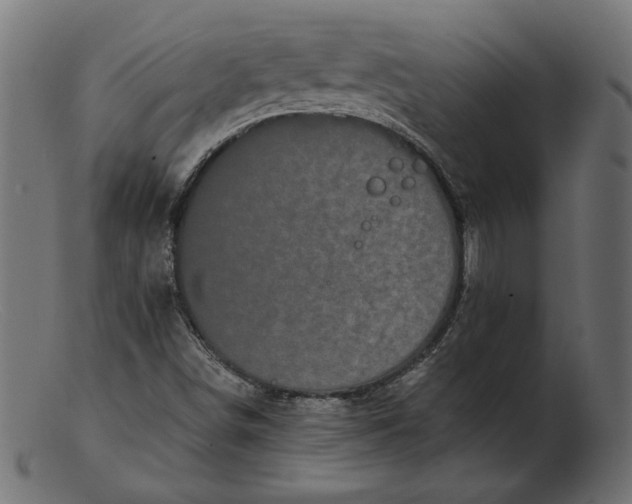 X0000103231498200809111518